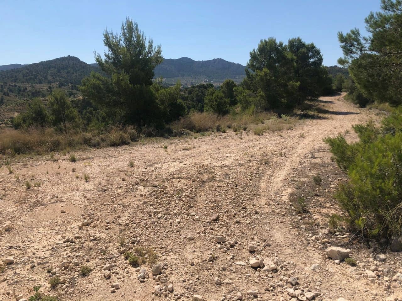 Finca/Landehus til salg i La Zarza - € 29.900 (Ref: 8863563)