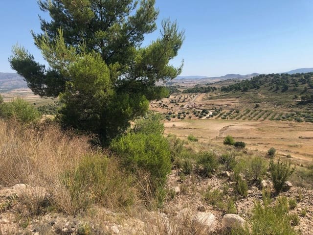 Finca/Landehus til salg i La Zarza, Jumilla - € 29.900 (Ref: 8863563)