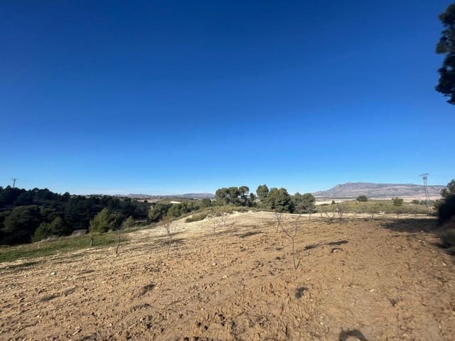 Finca/Landehus til salg i La Zarza, Jumilla - € 45.900 (Ref: 8863564)