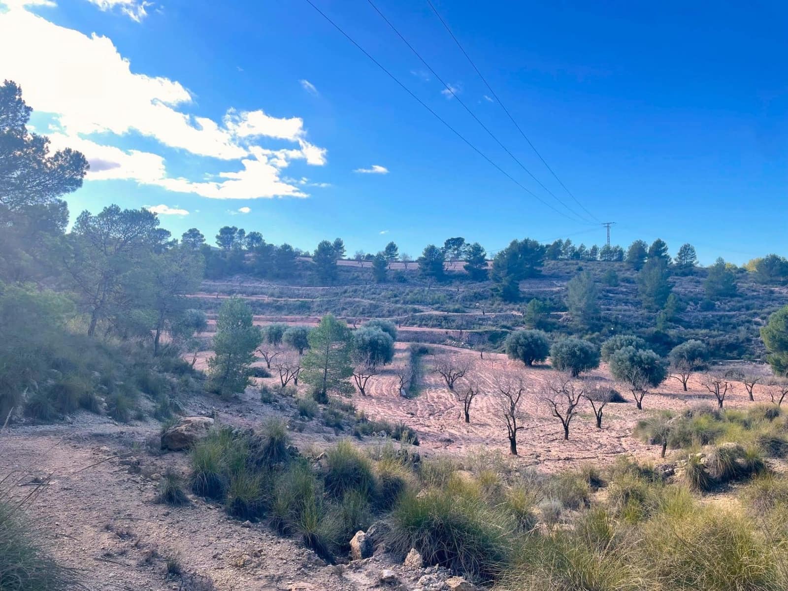 Finca/Casa di Campagna in vendita in La Zarza - 45.900 € (Rif: 8863564)