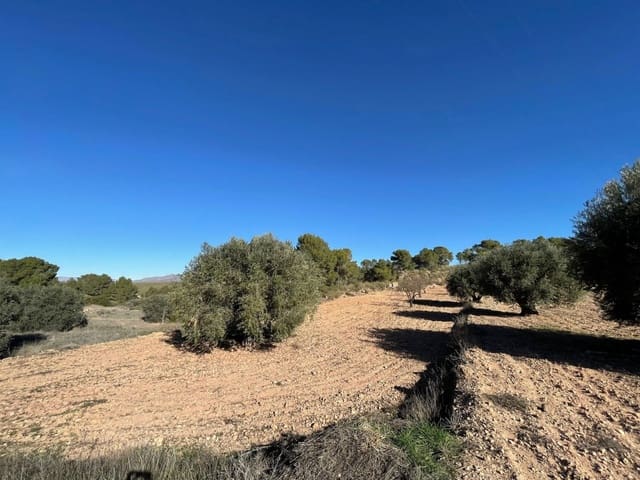 Finca/Landehus til salg i La Zarza, Jumilla - € 45.900 (Ref: 8863564)
