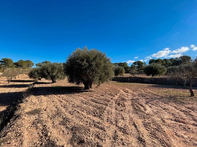 Finca/Landehus til salg i La Zarza, Jumilla - € 45.900 (Ref: 8863564)