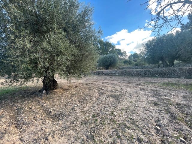 Finca/Landehus til salg i La Zarza, Jumilla - € 45.900 (Ref: 8863564)