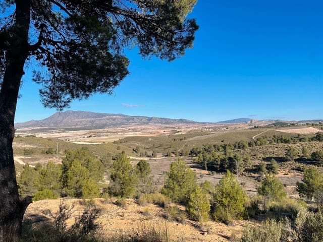 Finca/Landehus til salg i La Zarza, Jumilla - € 29.900 (Ref: 8863565)