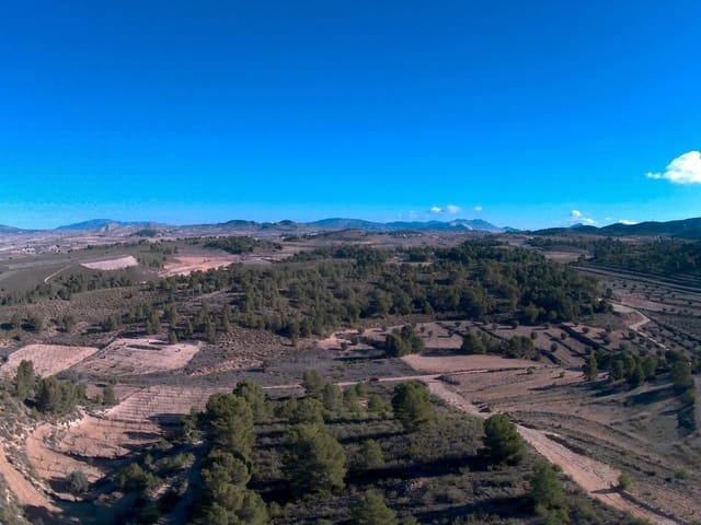 Finca/Landehus til salg i La Zarza, Jumilla - € 29.900 (Ref: 8863565)