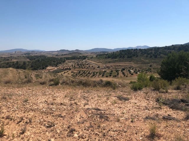 Finca/Landehus til salg i La Zarza, Jumilla - € 49.900 (Ref: 8863567)