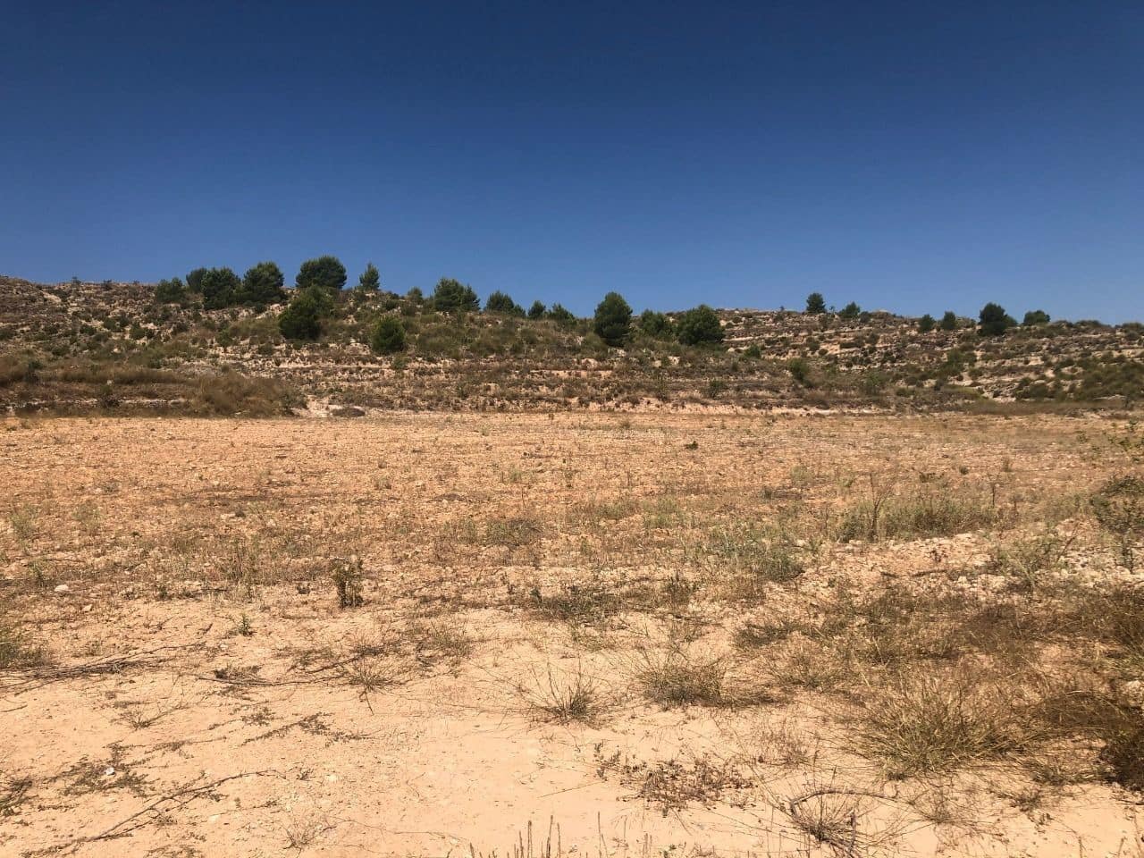 Finca/Landehus til salg i La Zarza - € 45.900 (Ref: 8863569)