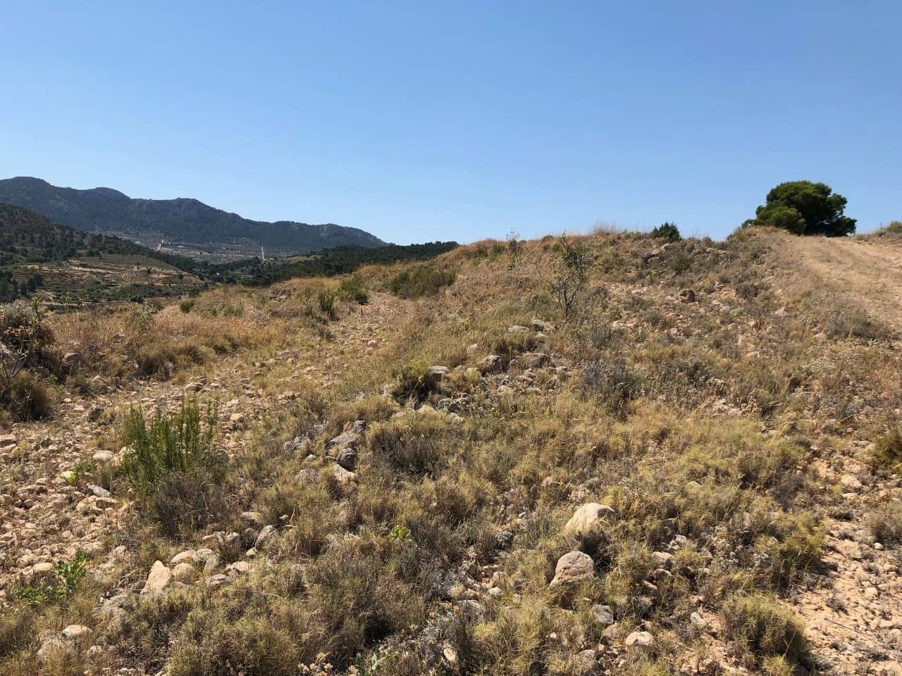 Finca/Landehus til salg i La Zarza - € 45.900 (Ref: 8863569)