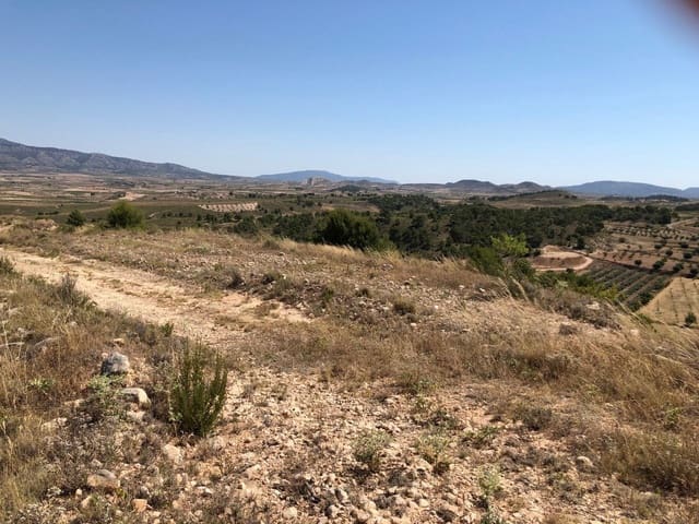 Finca/Landehus til salg i La Zarza, Jumilla - € 45.900 (Ref: 8863569)