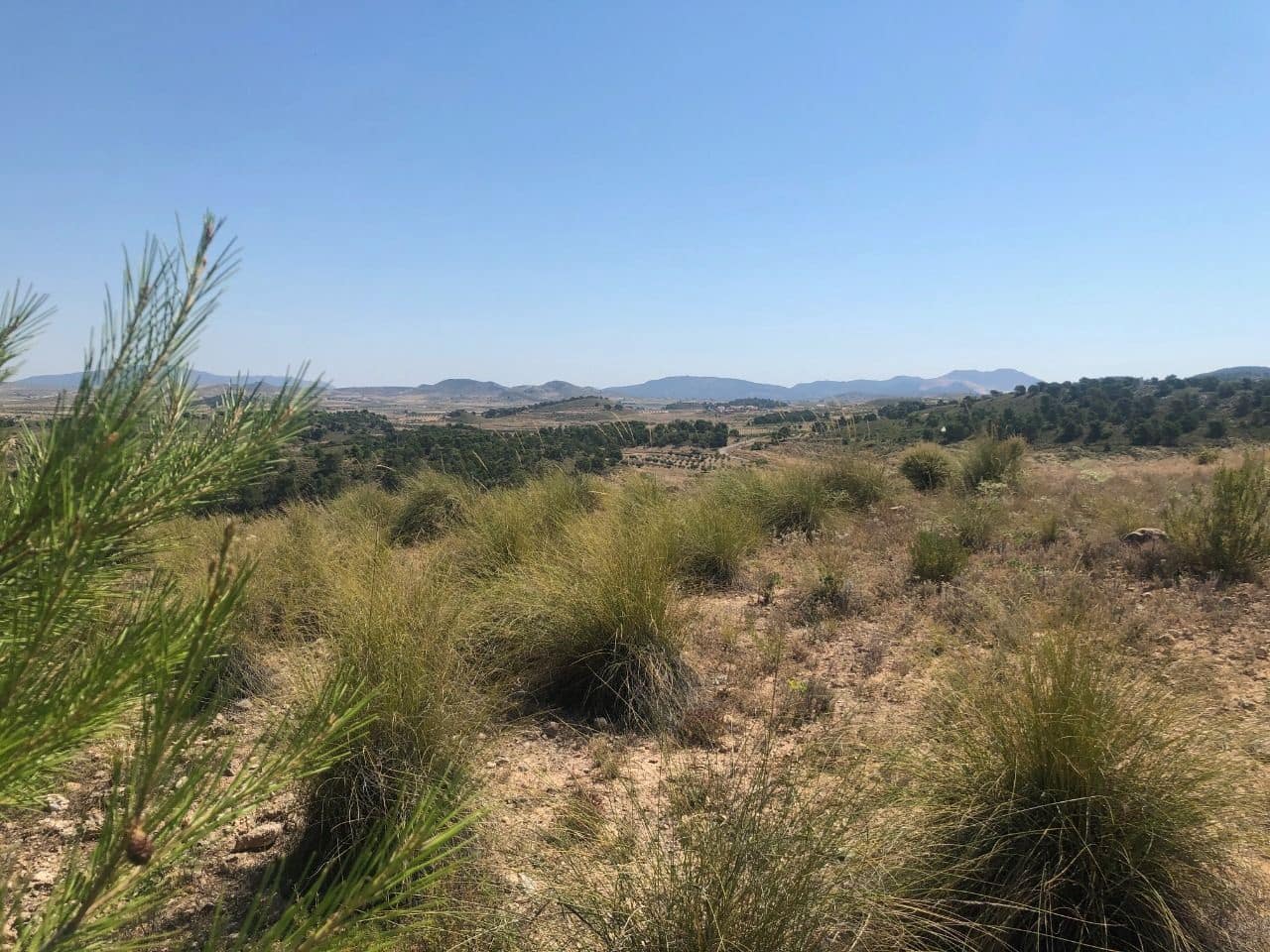 Finca/Landehus til salg i La Zarza - € 29.900 (Ref: 8863570)