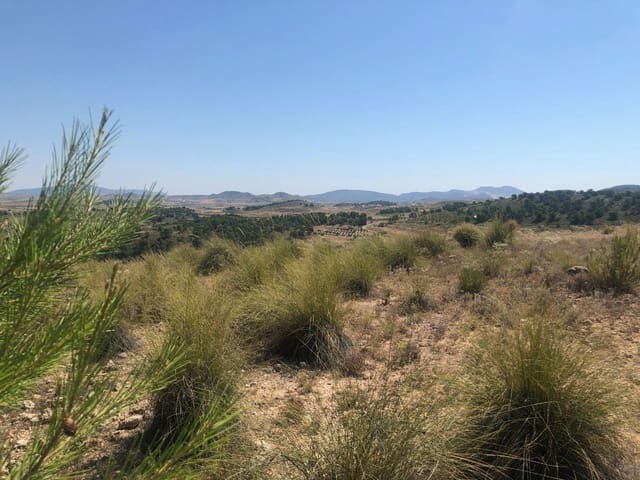 Finca/Landehus til salg i La Zarza, Jumilla - € 29.900 (Ref: 8863570)