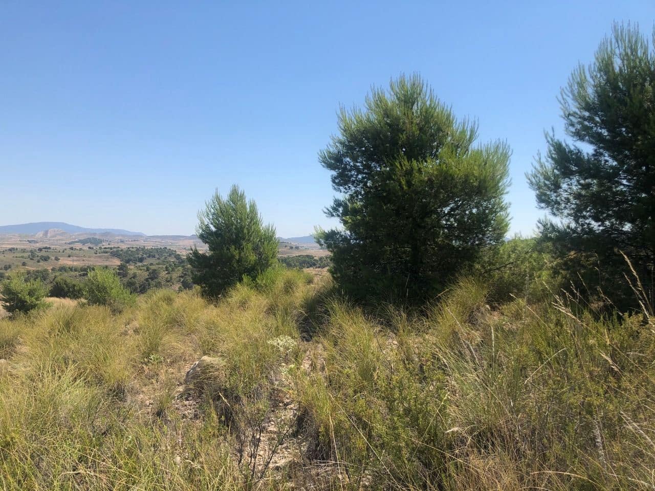 Finca/Landehus til salg i La Zarza - € 29.900 (Ref: 8863570)