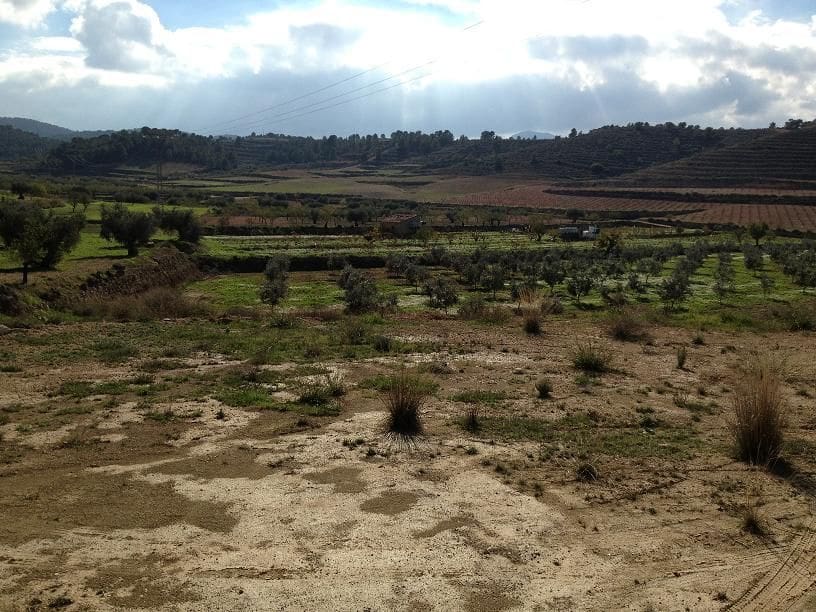 Maalaistalo myytävänä paikassa La Zarza - 34 900 € (Ref: 8863571)