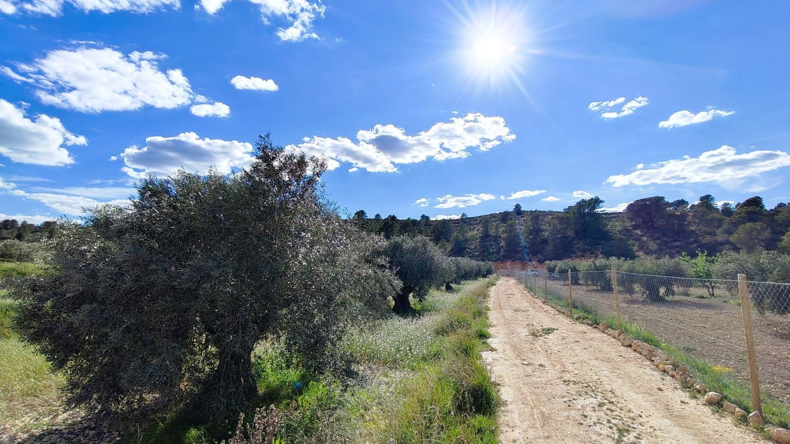 Finca/Country House for sale in La Zarza - € 34,900 (Ref: 8863571)