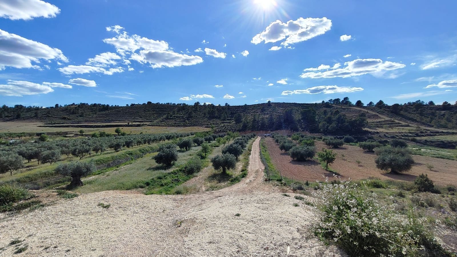 Finca/Country House for sale in La Zarza - € 34,900 (Ref: 8863571)