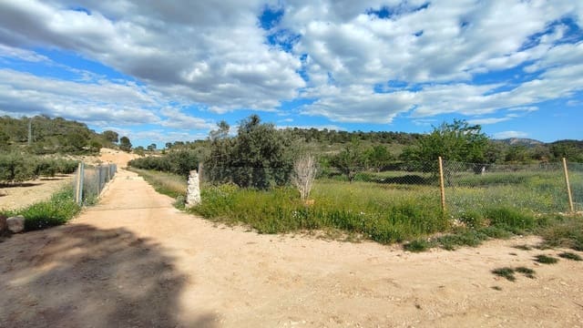Finca/Landehus til salg i La Zarza, Jumilla - € 34.900 (Ref: 8863571)