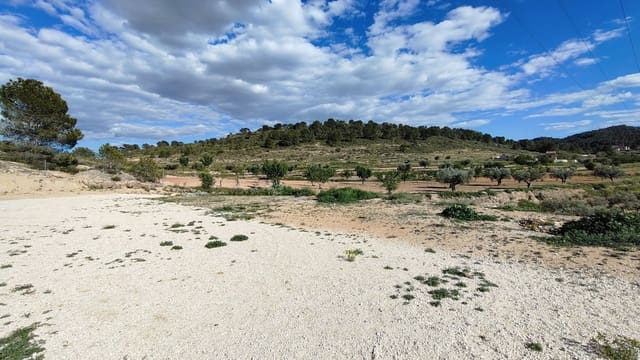 Finca/Landehus til salg i La Zarza, Jumilla - € 34.900 (Ref: 8863571)