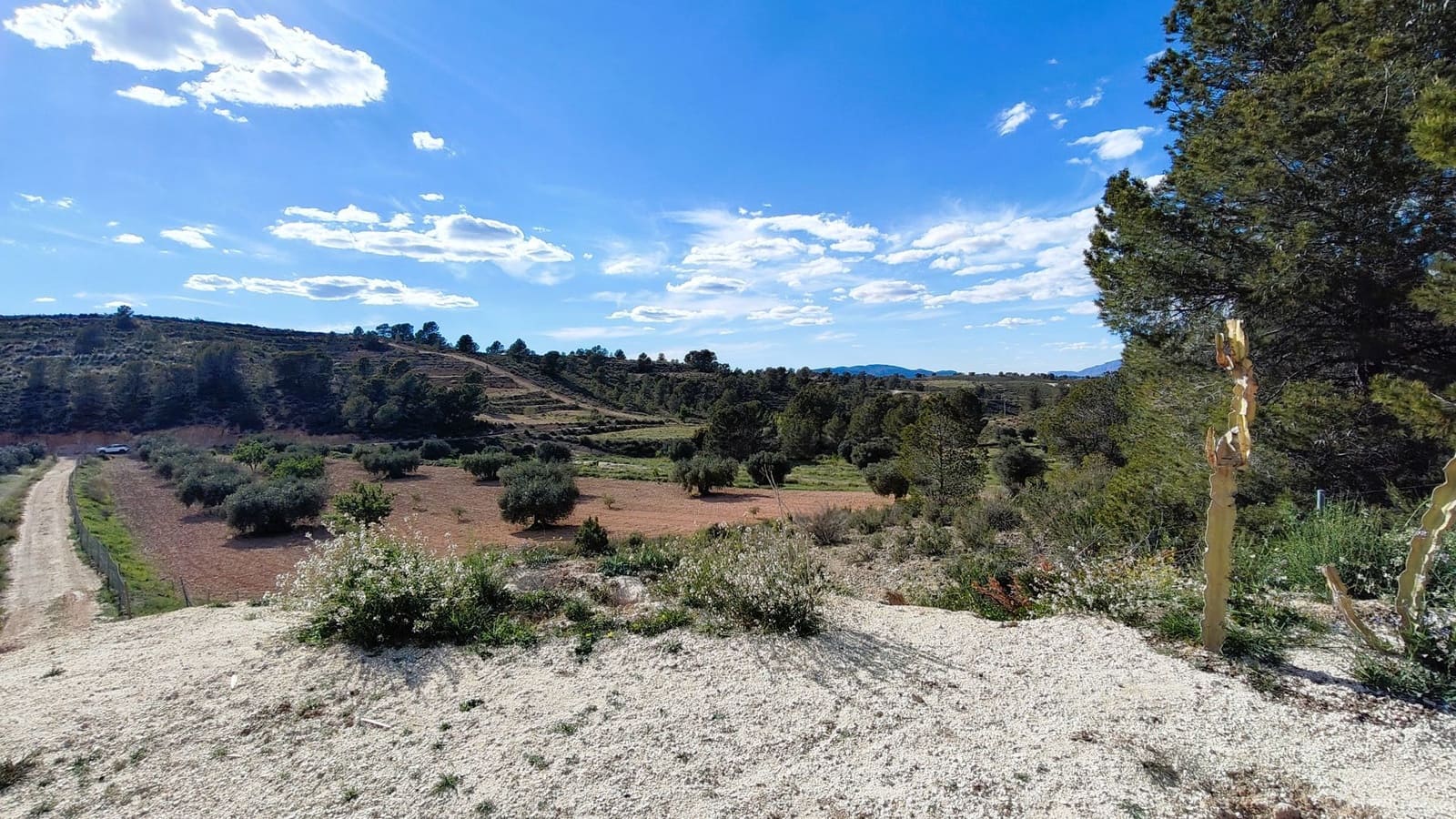 Finca/Country House for sale in La Zarza - € 34,900 (Ref: 8863571)