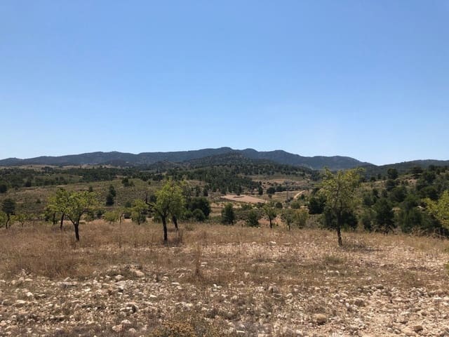 Finca/Landehus til salg i La Zarza, Jumilla - € 69.900 (Ref: 8863572)
