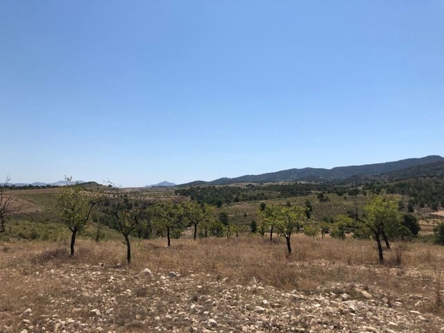 Finca/Landehus til salg i La Zarza, Jumilla - € 69.900 (Ref: 8863572)