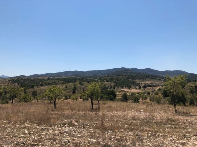 Finca/Landehus til salg i La Zarza, Jumilla - € 69.900 (Ref: 8863572)