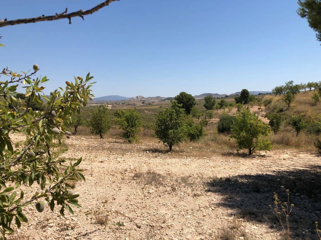 Finca/Landehus til salg i La Zarza - € 69.900 (Ref: 8863572)