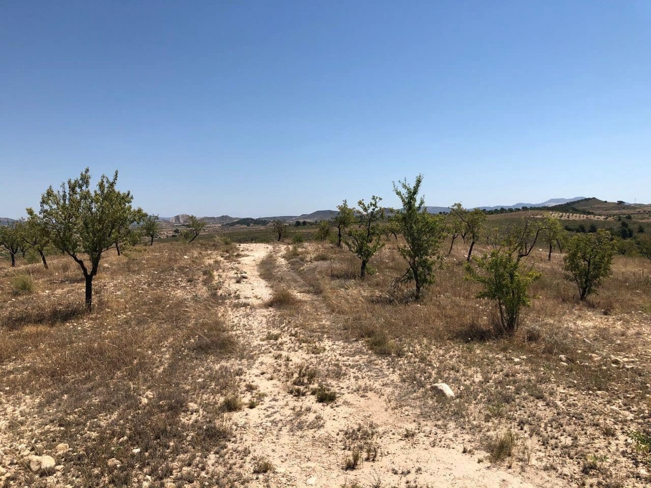 Finca/Landehus til salg i La Zarza - € 69.900 (Ref: 8863572)