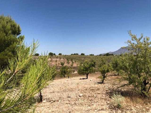 Finca/Landehus til salg i La Zarza, Jumilla - € 69.900 (Ref: 8863572)