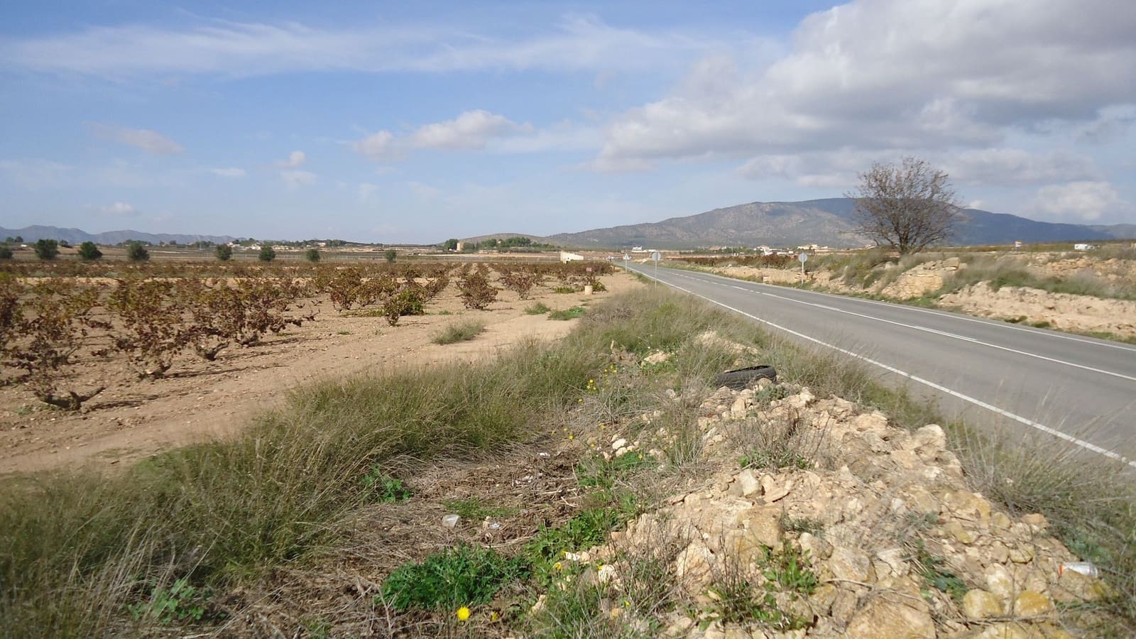 Finca/Landehus til salg i Pinoso - € 552.840 (Ref: 8863574)