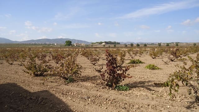 Finca/Landehus til salg i Pinoso - € 552.840 (Ref: 8863574)