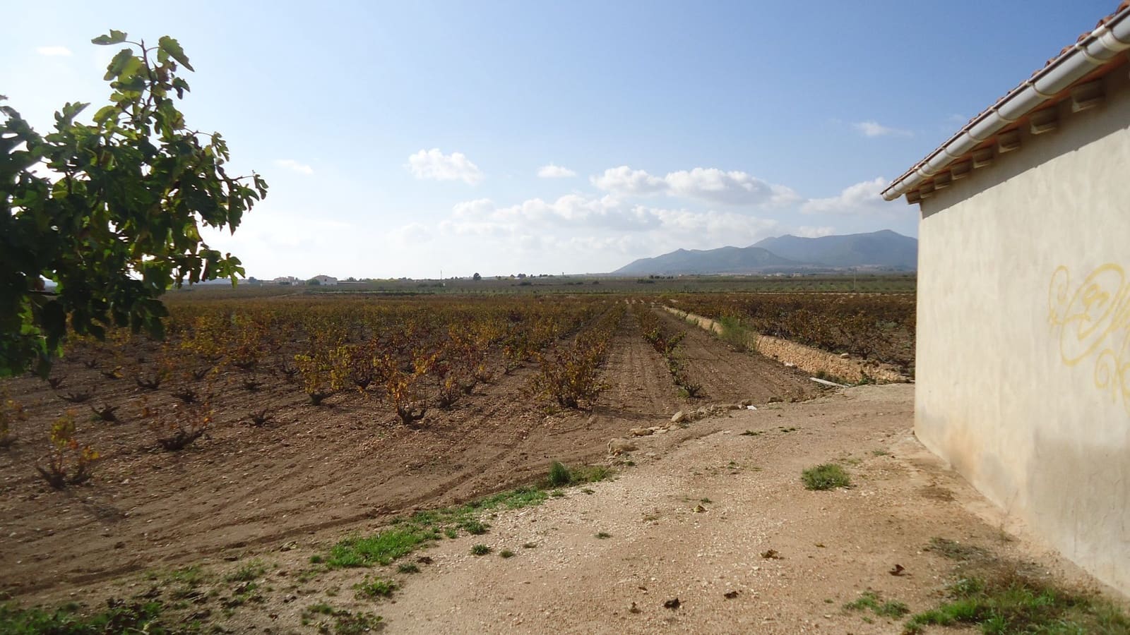 Finca/Landehus til salg i Pinoso - € 552.840 (Ref: 8863574)