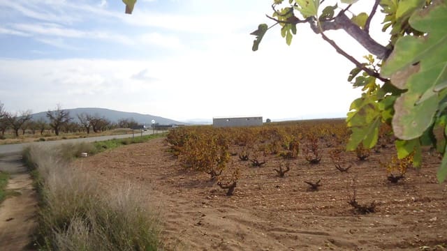 Finca/Landehus til salg i Pinoso - € 552.840 (Ref: 8863574)