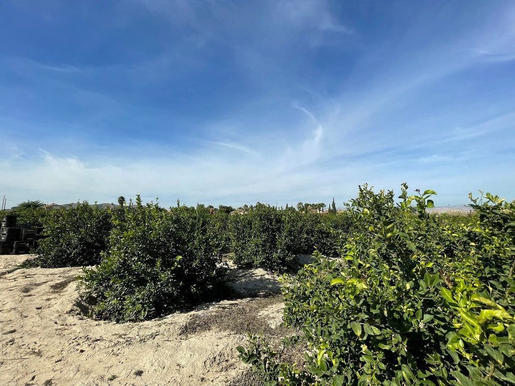 2 soverom Finca/Herregård til salgs i Redovan - € 679 000 (Ref: 8863577)