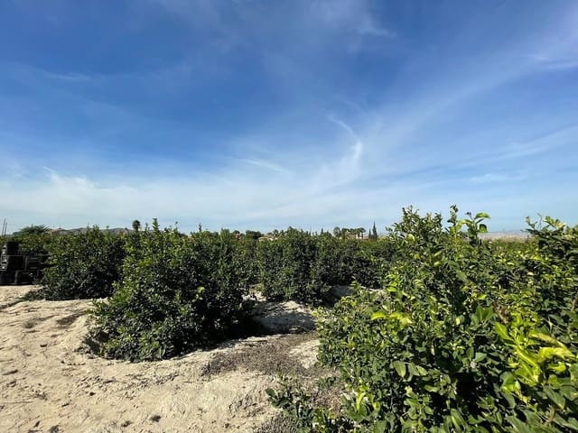 2 soveværelse Finca/Landehus til salg i Redován - € 679.000 (Ref: 8863577)