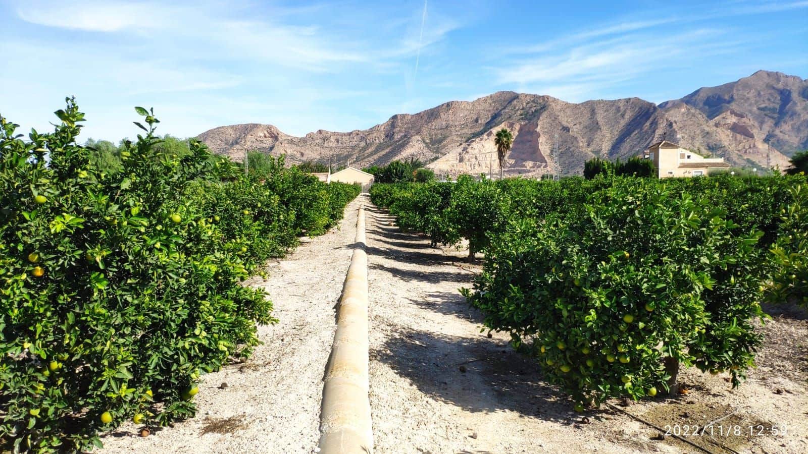 2 soverom Finca/Herregård til salgs i Redovan - € 679 000 (Ref: 8863577)