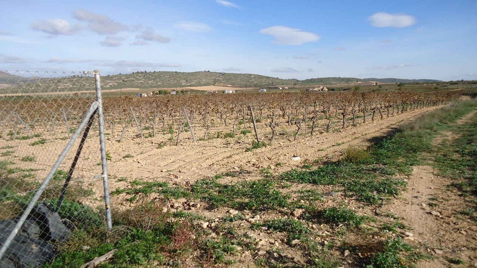 6 chambre Villa/Maison à vendre à Yecla - 149 900 € (Ref: 8863579)