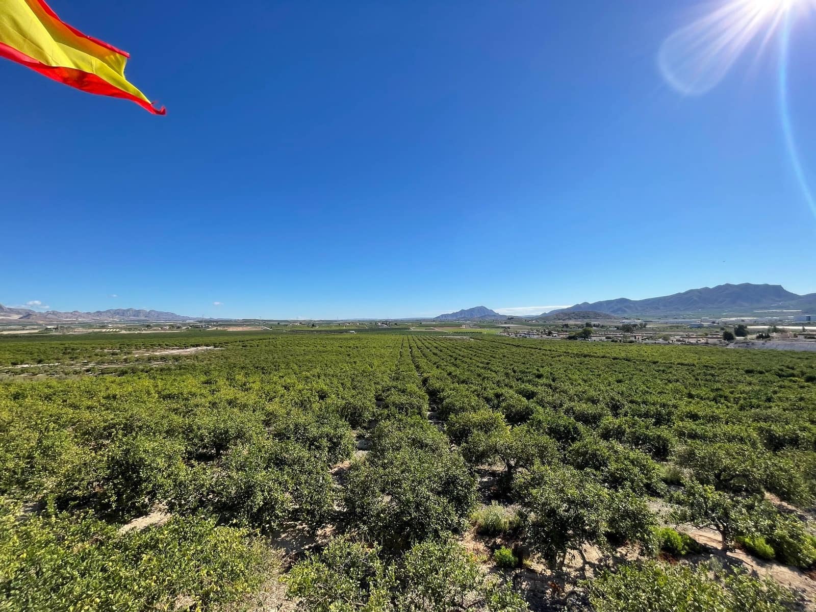 6 soveværelse Finca/Landehus til salg i Santomera med swimmingpool - € 5.600.000 (Ref: 8863580)