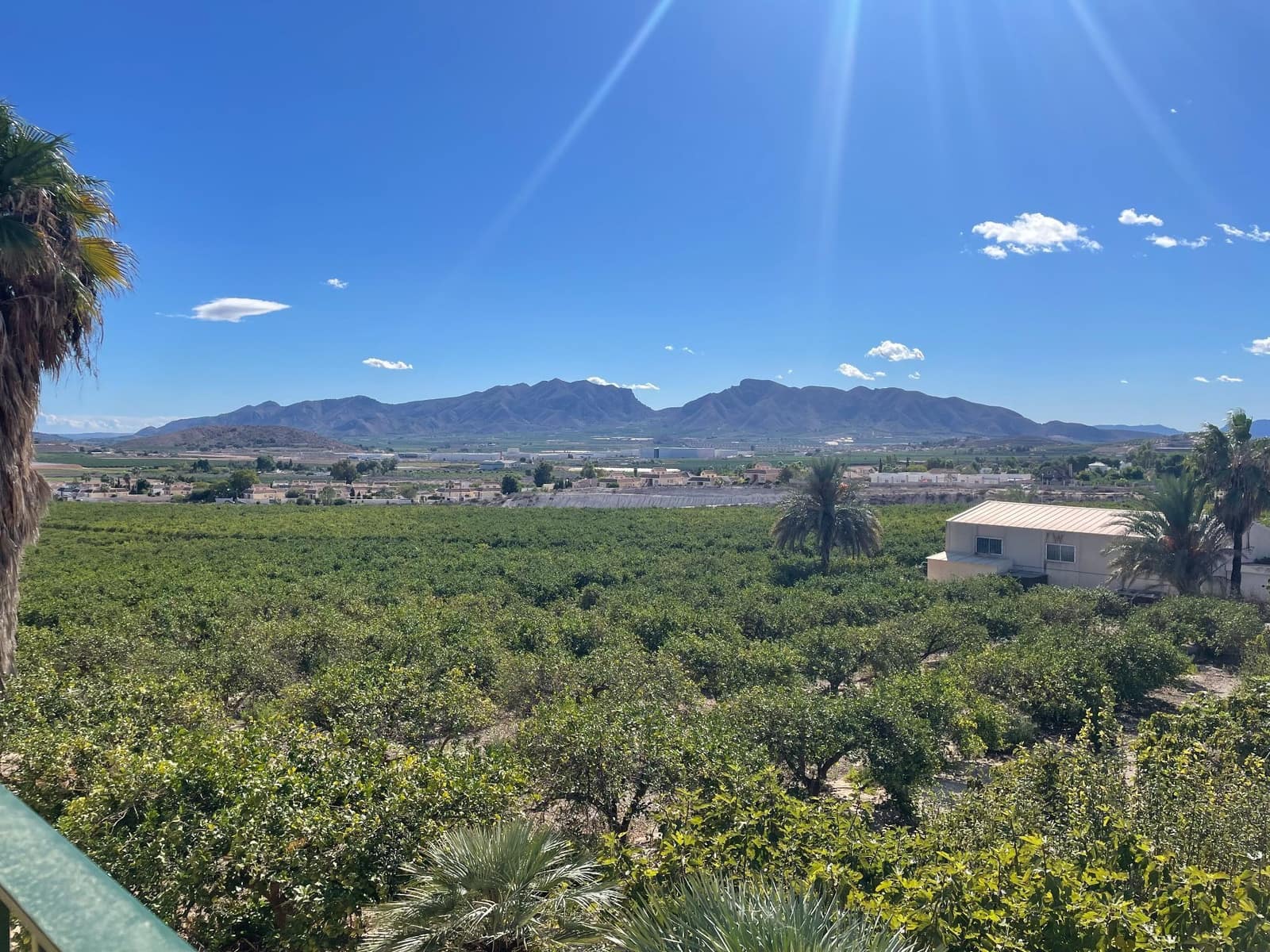 6 soveværelse Finca/Landehus til salg i Santomera med swimmingpool - € 5.600.000 (Ref: 8863580)