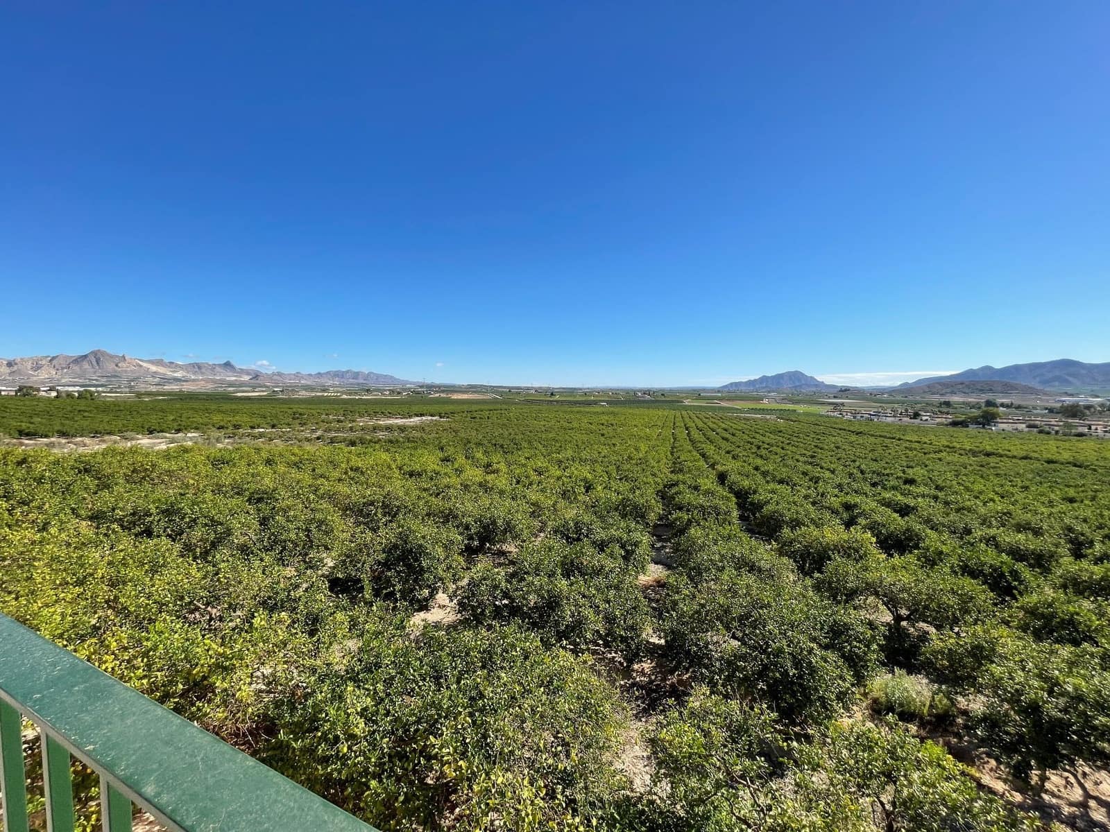 6 soveværelse Finca/Landehus til salg i Santomera med swimmingpool - € 5.600.000 (Ref: 8863580)