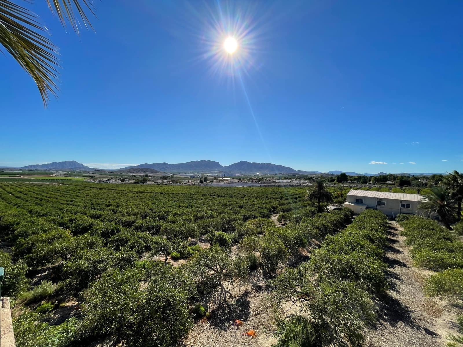 6 soveværelse Finca/Landehus til salg i Santomera med swimmingpool - € 5.600.000 (Ref: 8863580)