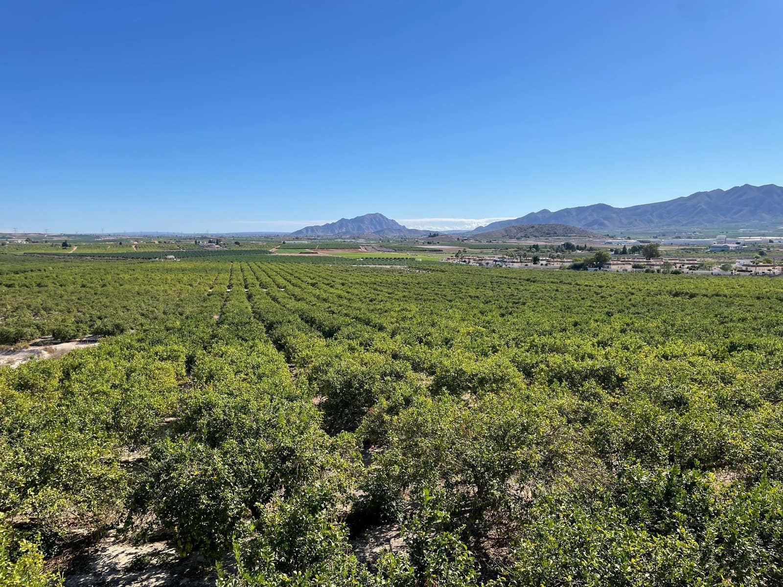 6 soveværelse Finca/Landehus til salg i Santomera med swimmingpool - € 5.600.000 (Ref: 8863580)