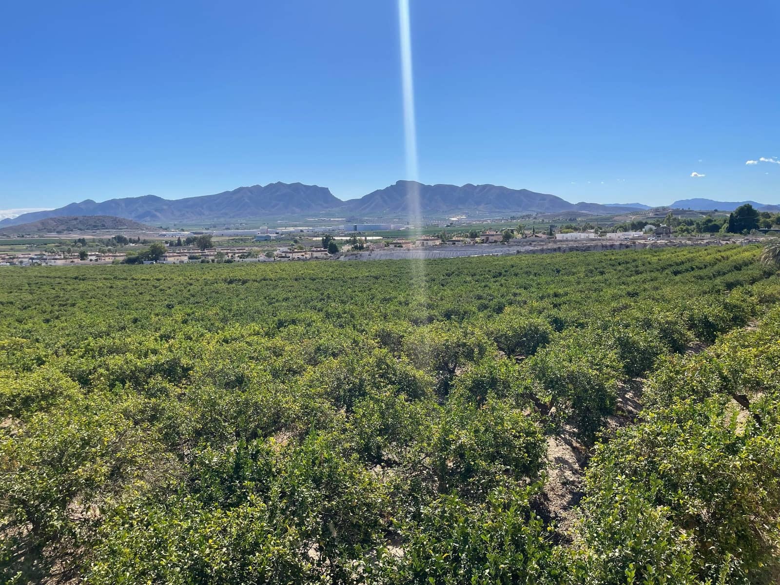 6 soveværelse Finca/Landehus til salg i Santomera med swimmingpool - € 5.600.000 (Ref: 8863580)