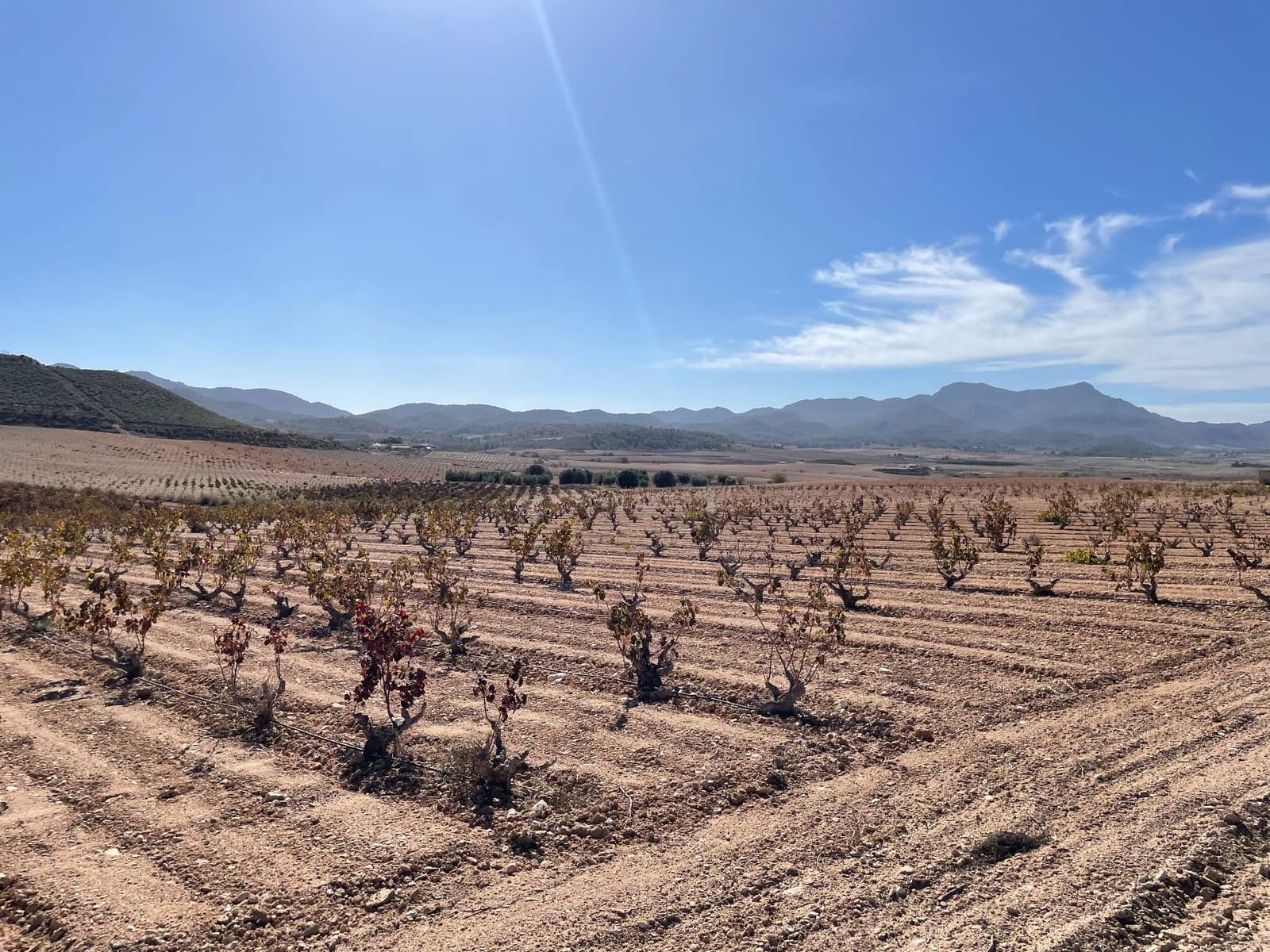 Finca/Landehus til salg i Jumilla - € 45.000 (Ref: 8863581)