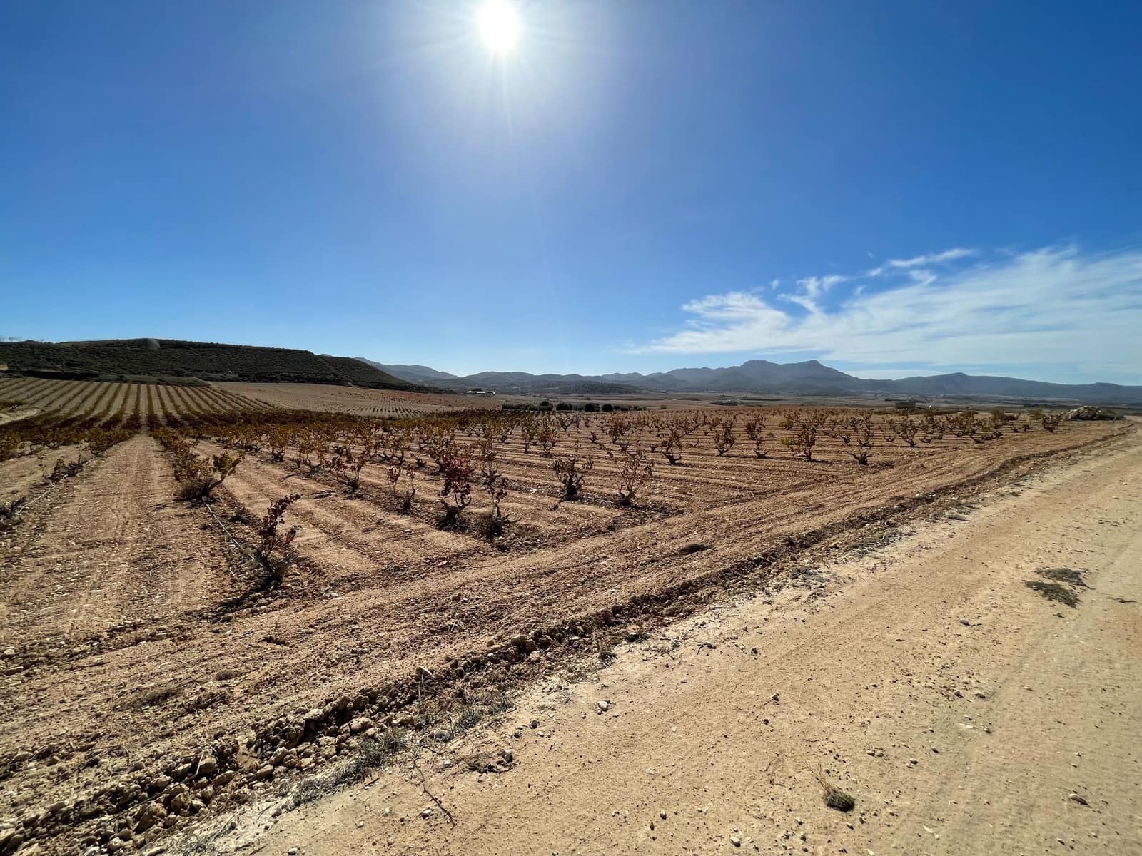 Finca/Landehus til salg i Jumilla - € 45.000 (Ref: 8863581)