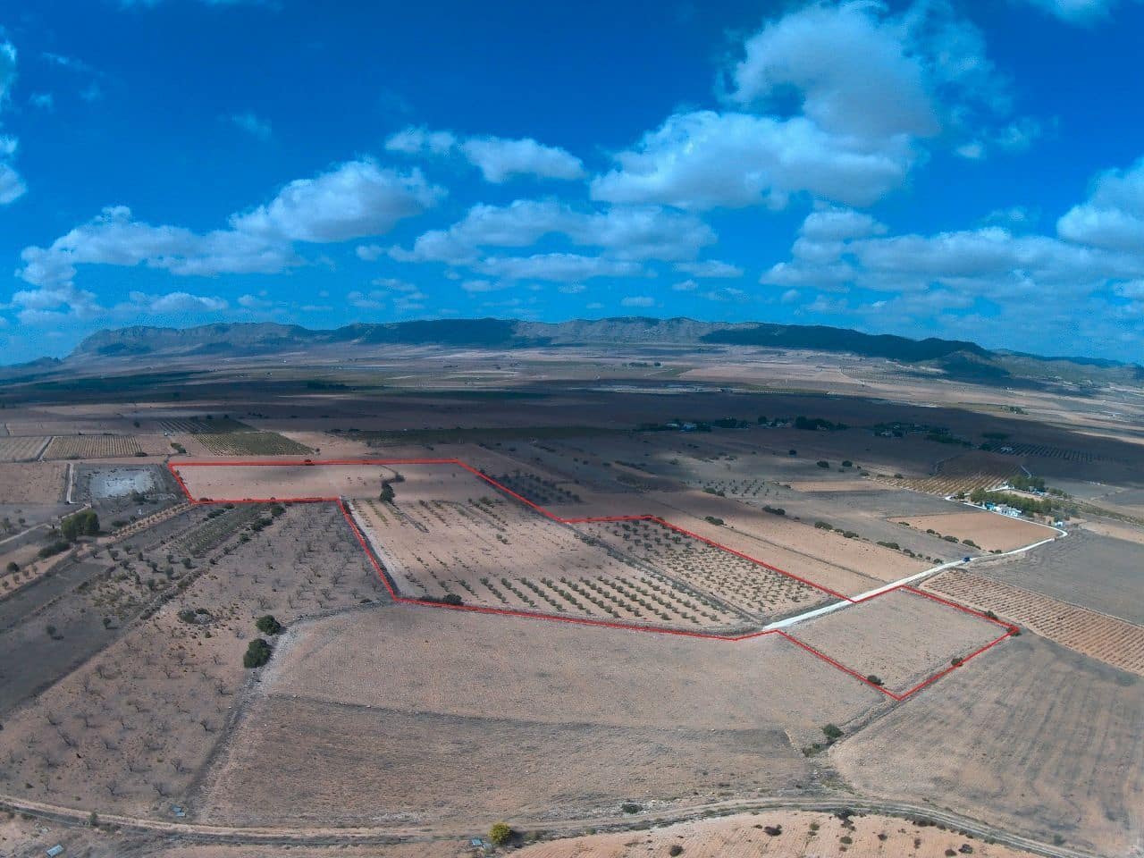 Finca/Country House for sale in Yecla - € 57,900 (Ref: 8863582)