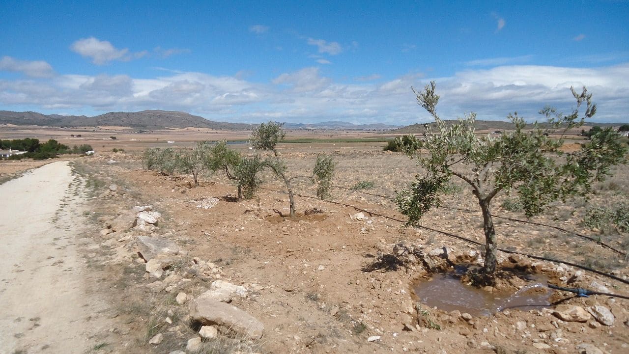 Finca/Country House for sale in Yecla - € 57,900 (Ref: 8863582)