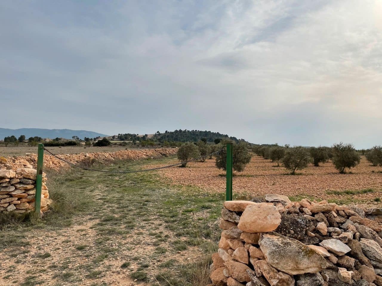 Finca/Country House for sale in Yecla - € 57,900 (Ref: 8863582)