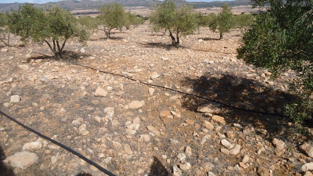 Finca/Country House for sale in Yecla - € 57,900 (Ref: 8863582)