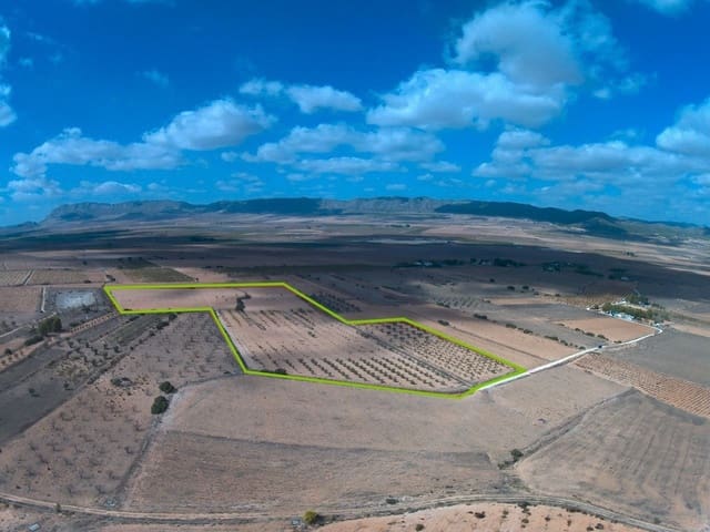 Finca/Landhuis te koop in Yecla - € 55.900 (Ref: 8863582)