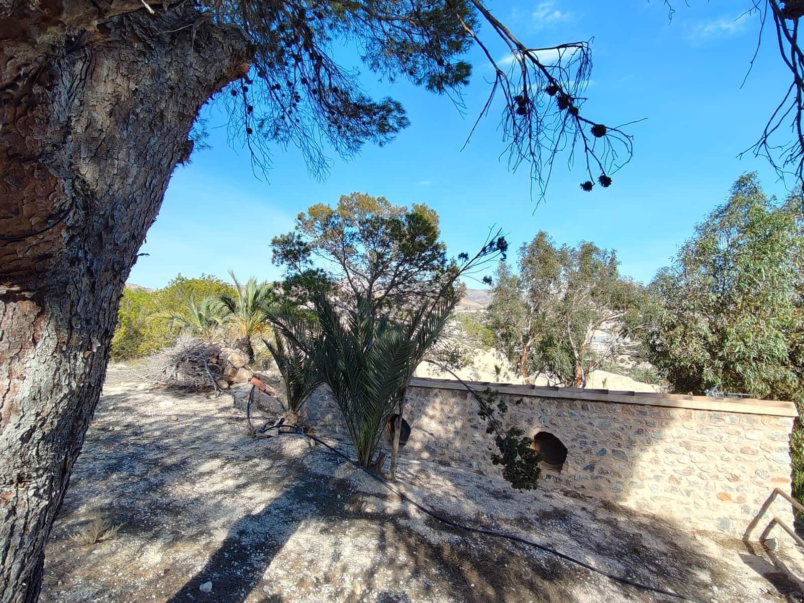 5 soveværelse Villa til salg i Abanilla - € 267.500 (Ref: 8863583)